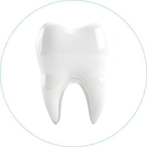 Công Ty TNHH Y Nha Khoa Gia Huy Thịnh – Đối Tác Tin Cậy Của Ngành Nha Khoa Việt Nam